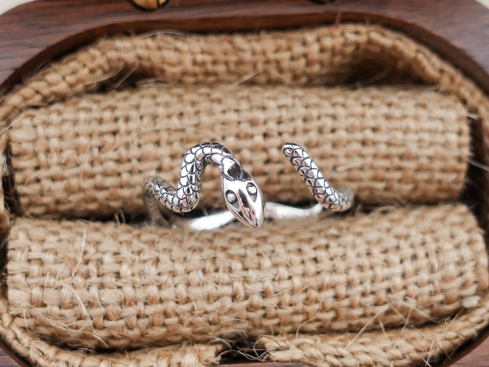 Sterling Silver Snake Ring, Serpent Ring, Snake Pinky Ring, Unisex Ring, Adjustable Ring - TibiCollection